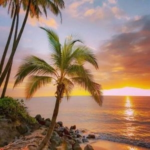 Meet your Posher, Stella